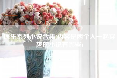 医生系列小说合集(内容是两个人一起穿越的小说有哪些)