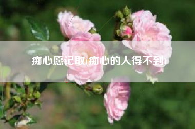 痴心愿记取(痴心的人得不到)