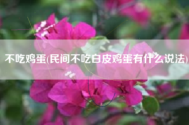 不吃鸡蛋(民间不吃白皮鸡蛋有什么说法)