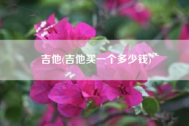 吉他(吉他买一个多少钱)