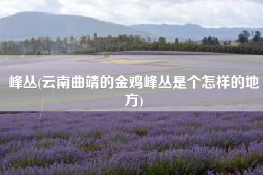 峰丛(云南曲靖的金鸡峰丛是个怎样的地方)