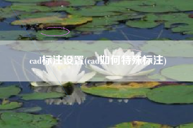 cad标注设置(cad如何特殊标注)