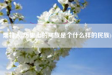 栗特人(历史上的羯族是个什么样的民族)