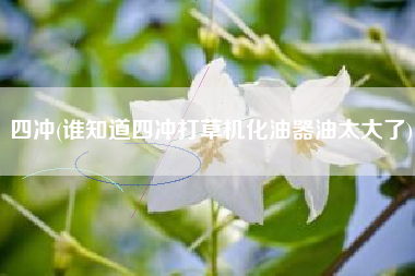 四冲(谁知道四冲打草机化油器油太大了)