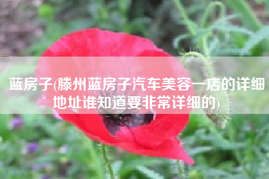蓝房子(滕州蓝房子汽车美容一店的详细地址谁知道要非常详细的)