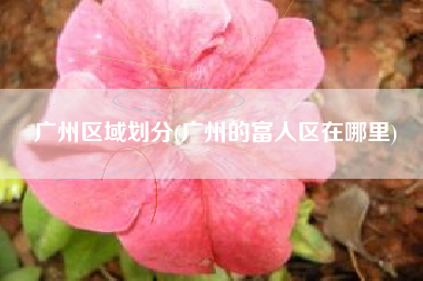 广州区域划分(广州的富人区在哪里)
