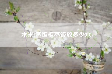 水米(蒸饭柜蒸饭放多少水)