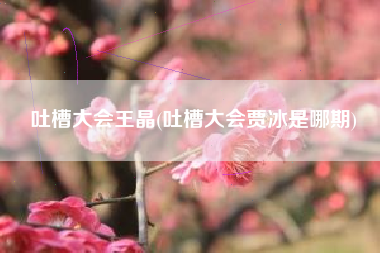 吐槽大会王晶(吐槽大会贾冰是哪期)