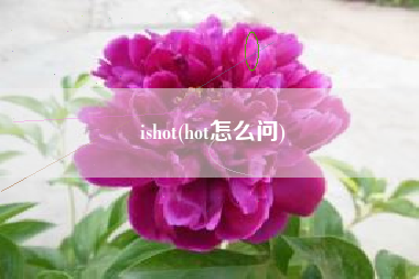 ishot(hot怎么问)