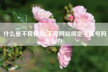 什么是不良网站(不良网站绑定手机号码怎么办)