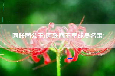 阿联酋公主(阿联酋王室成员名录)