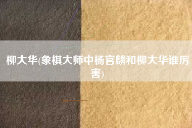 柳大华(象棋大师中杨官麟和柳大华谁厉害)