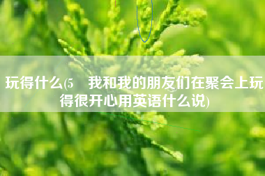 玩得什么(5 我和我的朋友们在聚会上玩得很开心用英语什么说)