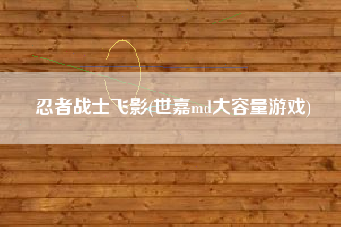 忍者战士飞影(世嘉md大容量游戏)