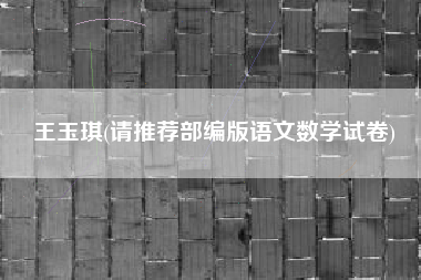 王玉琪(请推荐部编版语文数学试卷)