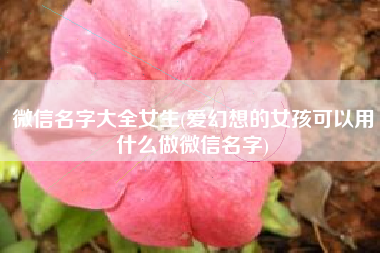 微信名字大全女生(爱幻想的女孩可以用什么做微信名字)