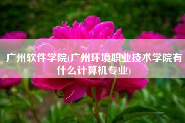 广州软件学院(广州环境职业技术学院有什么计算机专业)