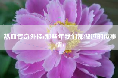 热血传奇外挂(那些年我们都做过的傻事情)