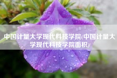 中国计量大学现代科技学院(中国计量大学现代科技学院面积)