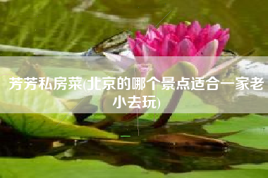 芳芳私房菜(北京的哪个景点适合一家老小去玩)