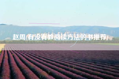 赵周(有没有教阅读方法的书推荐)