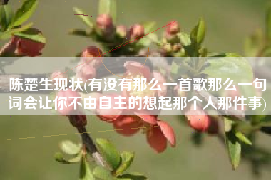 陈楚生现状(有没有那么一首歌那么一句词会让你不由自主的想起那个人那件事)