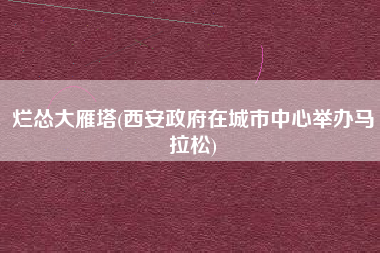 烂怂大雁塔(西安政府在城市中心举办马拉松)