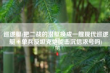 巡逻艇(把二战的潜艇换成一艘现代巡逻艇＋单兵反坦克炮能击沉信浓号吗)