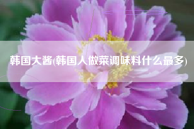 韩国大酱(韩国人做菜调味料什么最多)