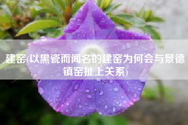 建窑(以黑瓷而闻名的建窑为何会与景德镇窑扯上关系)