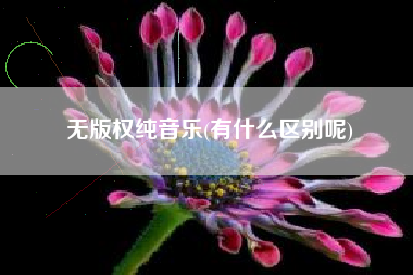 无版权纯音乐(有什么区别呢)