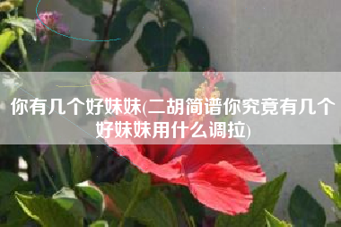 你有几个好妹妹(二胡简谱你究竟有几个好妹妹用什么调拉)