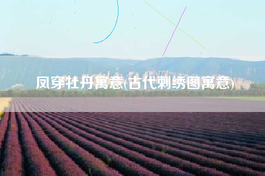 凤穿牡丹寓意(古代刺绣图寓意)