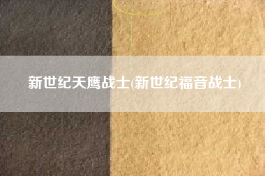 新世纪天鹰战士(新世纪福音战士)