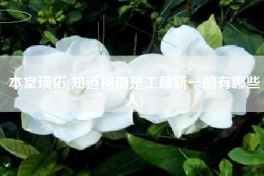 本堂瑛佑(知道柯南是工藤新一的有哪些人)