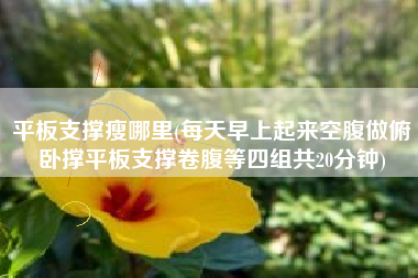 平板支撑瘦哪里(每天早上起来空腹做俯卧撑平板支撑卷腹等四组共20分钟)