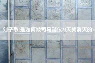 刘子敬(是如何被司马懿仅24天就消灭的)