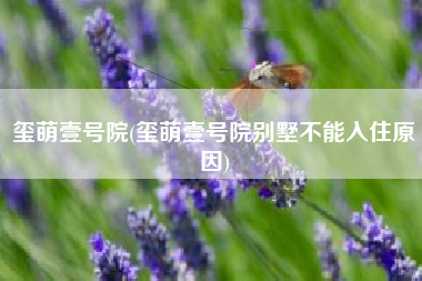 玺萌壹号院(玺萌壹号院别墅不能入住原因)