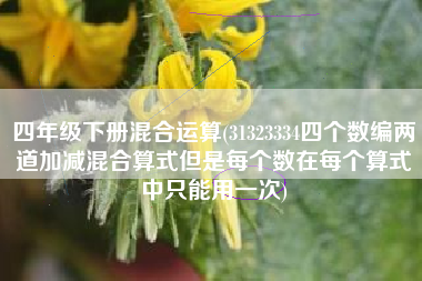 四年级下册混合运算(31323334四个数编两道加减混合算式但是每个数在每个算式中只能用一次)