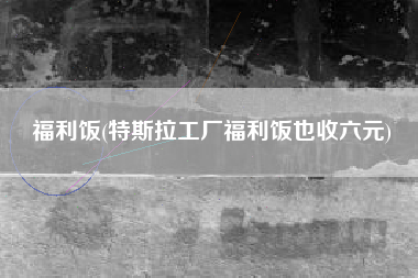 福利饭(特斯拉工厂福利饭也收六元)