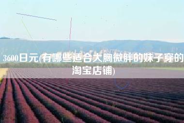 3600日元(有哪些适合大胸微胖的妹子穿的淘宝店铺)