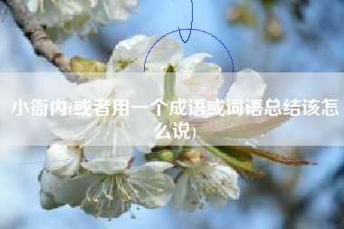 小衙内(或者用一个成语或词语总结该怎么说)