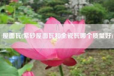 屋面瓦(紫砂屋面瓦和全瓷瓦哪个质量好)