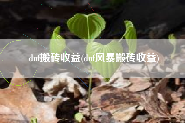 dnf搬砖收益(dnf风暴搬砖收益)