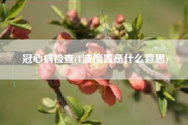 冠心病检查(T波倒置是什么意思)