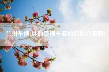 兰州车祸(其他受损车买的保险会赔吗)