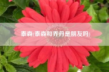 泰森(泰森和乔丹是朋友吗)