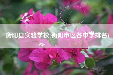 衡阳县实验学校(衡阳市区各中学排名)