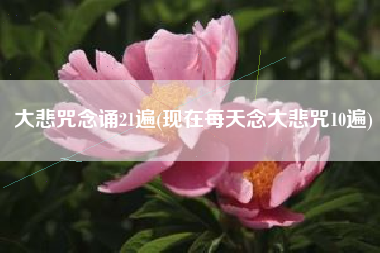 大悲咒念诵21遍(现在每天念大悲咒10遍)