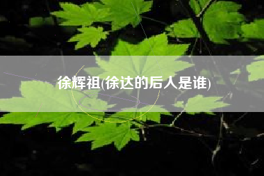 徐辉祖(徐达的后人是谁)